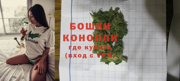 PSILOCYBIN Медвежьегорск