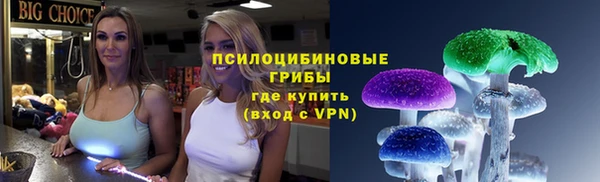 PSILOCYBIN Медвежьегорск