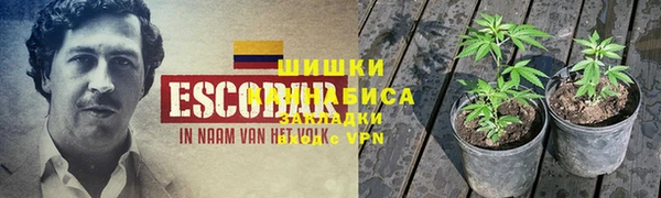 прущая мука Мегион