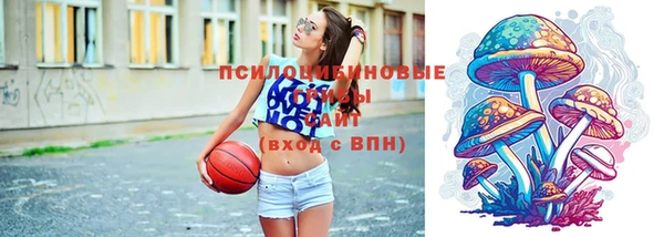 PSILOCYBIN Медвежьегорск